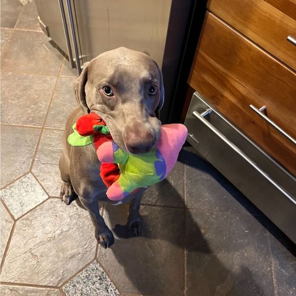 ❤️❤️❤️Come Shop With Me❤️❤️❤️ Like this listing to be notified when I gо LIVE!!! - Picture 7 of 10